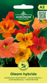 Suur mungalill "Gleam Hybrids"