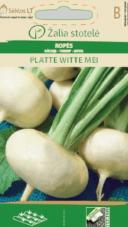Naeris "Platte Witte Mei"