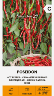 Kibepaprika "Poseidon"