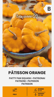 Patisson "Orange"