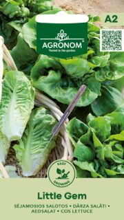 Rooma salat "Little Gem"