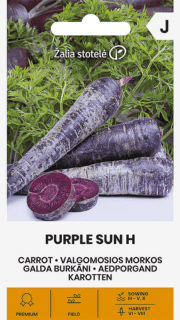 Porgand "Purple Sun" F1