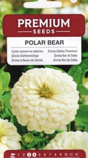 Harilik pruudisõlg "Polar Bear"