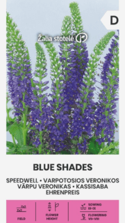Kassisaba "Blue Shades"