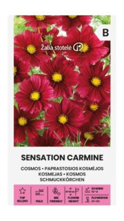 Kosmos "Sensation Carmine"