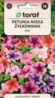 Petuunia pastelsete toonide segu