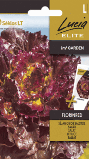 Lehtsalat "Florinred"