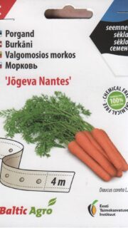 Porgand "Jõgeva Nantes" - lindil 4 meetrit