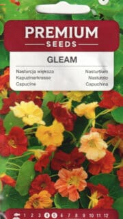 Suur mungalill "Gleam Mix"