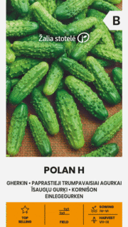 Avamaakurk "Polan" F1