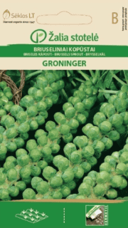 Rooskapsas "Groninger"