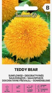 Harilik päevalill "Teddy Bear"