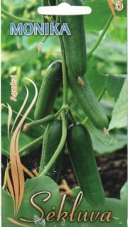 Kasvuhoonekurk "Monika"