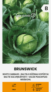 Valge peakapsas "Brunswick"