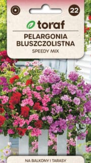 Luuderohulehine pelargoon "Speedy Mix"