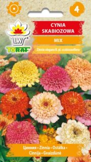 Harilik pruudisõlg skabioosiõieline