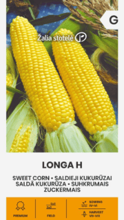 Suhkrumais "Longa" F1