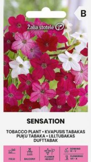 Lõhnav tubakas "Sensation"