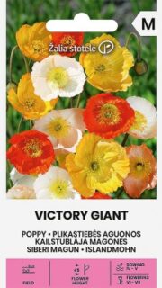 Siberi magun "Victory Giant"