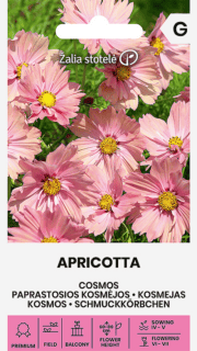Kosmos "Apricotta"