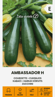 Kabatšokk "Ambassador" F1