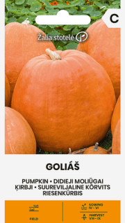 Kõrvits "Goliaš"