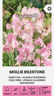 Lõhnav lillhernes "Mollie Rilestone"