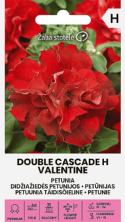 Petuunia "Double Cascade Valentine" F1