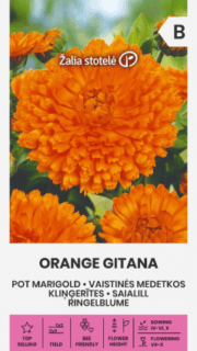 Saialill "Orange Gitana"