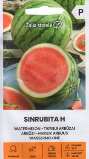 Arbuus seemneteta "Sinrubita" F1