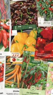 Kinkekomplekt tšillisõbrale - 10 pakki erinevaid tšilliseemneid ja kinkekott!