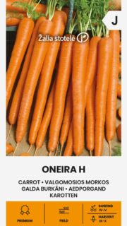 Porgand "Oneira" F1