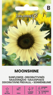 Päevalill "Moonshine"