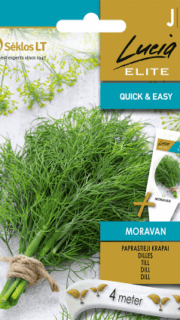 Aedtill "Moravan" - lindil 4 meetrit