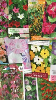 Kinkekomplekt ronilillesõbrale - 13 pakki põnevate ronivate suvelillede seemneid ja kinkekott!