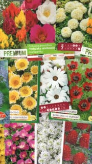 Kinkekomplekt suvelillesõbrale -15 pakki põnevate madalate suvelillede seemneid ja kinkekott!