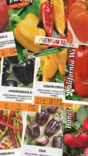 Kinkekomplekt paprikasõbrale - 11 pakki erinevaid paprikaseemneid ja kinkekott!