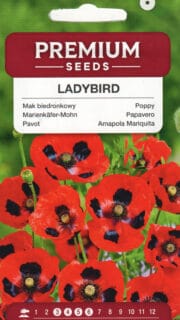 Muutlik magun "Ladybird"