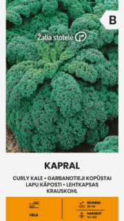 Kähar lehtkapsas "Kapral"