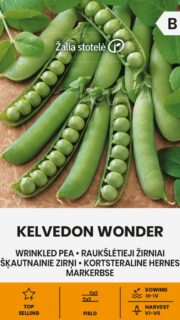 Aedhernes  "Kelvedon Wonder"