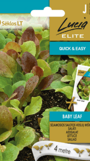 Aedsalatite segu - Baby Leaf - lindil 4 meetrit