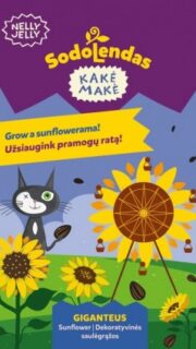 Hiidpäevalill "Giganteus"