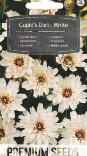 Sinine sahinlill "White"