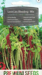 Longus rebashein "Love Lies Bleeding Mix"