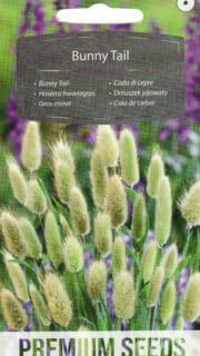 Jänesesaba "Bunny Tail"