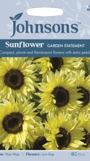 Harilik päevalill "Garden Statement"