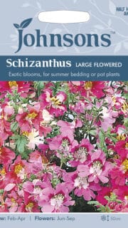 Püramiidjas libliklill "Large Flowered"