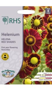 Sügisheleenium "Helena Red Shades"