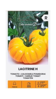 Tomat "Lacitrine" F1