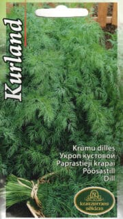 Põõsastill "Kurland" / "Curland"
